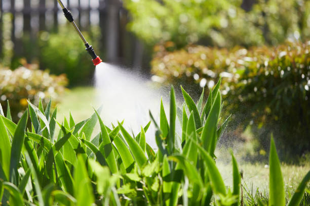 24/7 Emergency Wasp Removal experts in Sheldon, IL