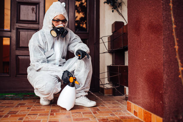 Reliable Wasp Removal contractor in Sheldon, IL by Show Me Pest Control